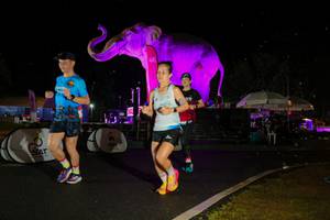 BIB: 
                            <button type="button" onclick="openModal(26542999)" class="btn btn-primary btn-sm float-right btn-popup" data-toggle="modal" data-target=".modal-high-quality">
                        <i class="fas fa-shopping-cart"></i> Add to Cart
                    </button>
                                            <button type="button" onclick="isThisMe(26542999, true)" class="btn btn-success btn-sm float-right btn-popup btn-isme hidden" data-toggle="tooltip" data-placement="bottom" title="นี่คือรูปของคุณใช่ไหม คลิกที่นี่เพื่อเอาเข้าอัลบั้ม">
                        <i class="fas fa-plus"></i> Add to album
                    </button>
                    <button type="button" onclick="isThisMe(26542999, false)" class="btn btn-warning btn-sm float-right btn-popup btn-isnotme hidden">
                        <i class="fas fa-ban"></i> Remove from album
                    </button>